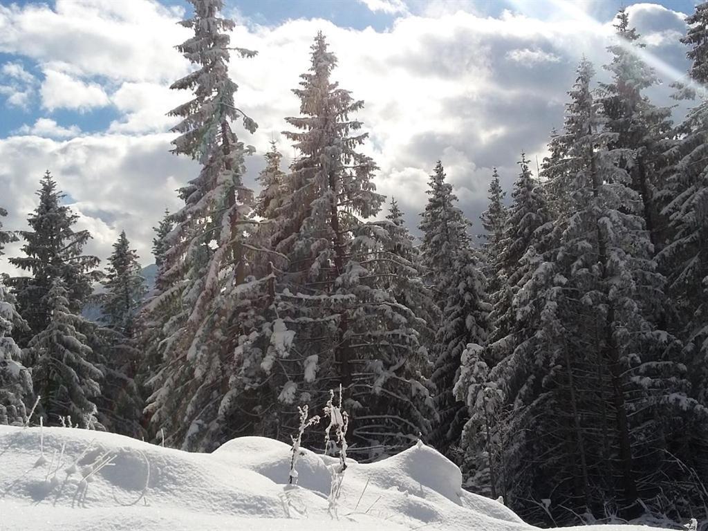 Landhotel und Gasthof Kirchberger Wildsteig Exterior foto